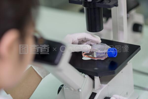 顯微鏡下的精微世界 技術(shù)人員如何通過試樣檢測保障質(zhì)量